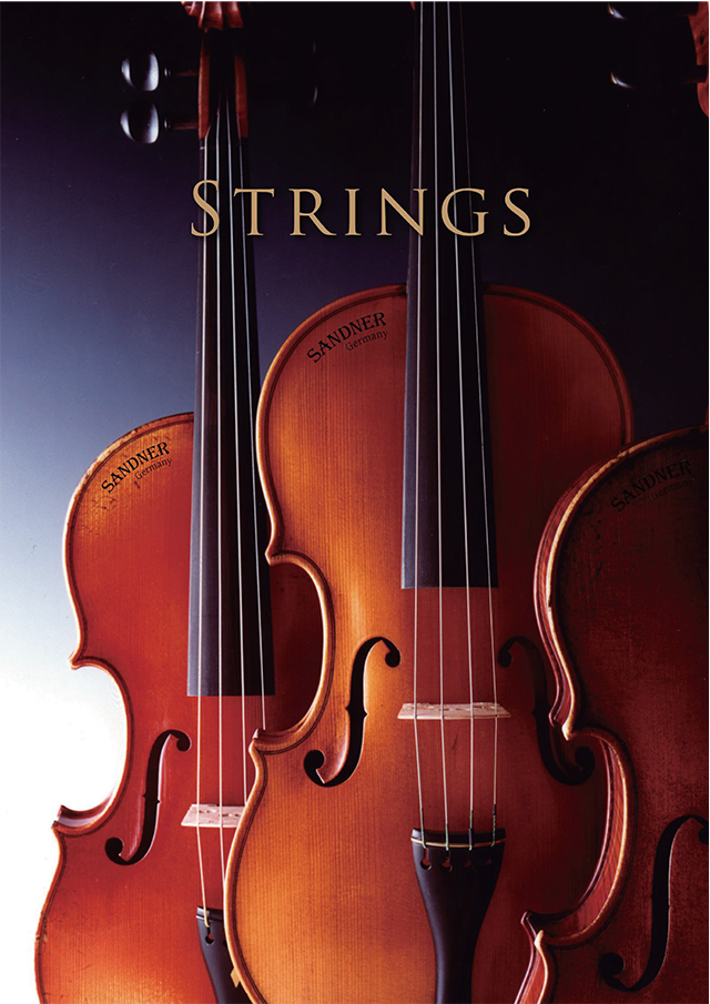 6.Strings.png