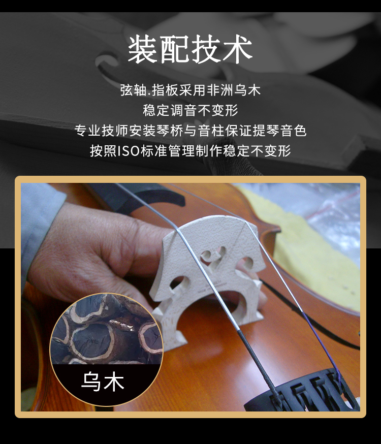 中提琴_15.jpg